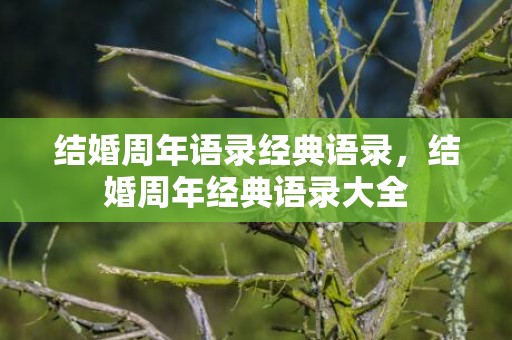 结婚周年语录经典语录，结婚周年经典语录大全