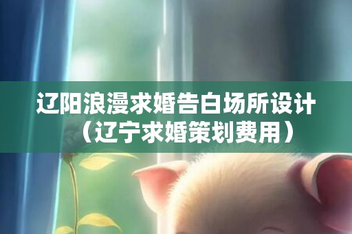辽阳浪漫求婚告白场所设计（辽宁求婚策划费用）