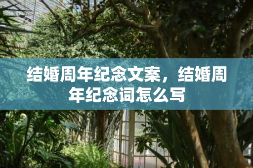 结婚周年纪念文案，结婚周年纪念词怎么写