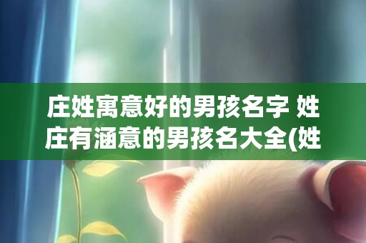 庄姓寓意好的男孩名字 姓庄有涵意的男孩名大全(姓袁有寓意的男孩名字)