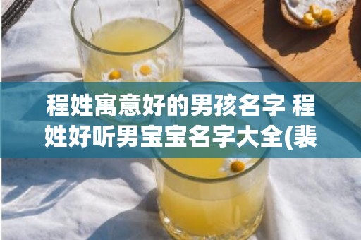 程姓寓意好的男孩名字 程姓好听男宝宝名字大全(裴姓男孩名字寓意好的)