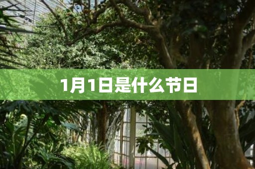 1月1日是什么节日