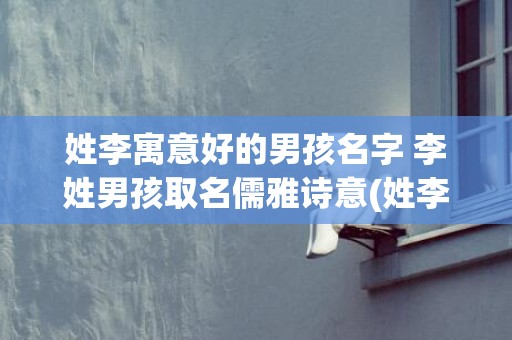姓李寓意好的男孩名字 李姓男孩取名儒雅诗意(姓李寓意好的男孩名字)