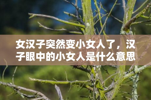 女汉子突然变小女人了，汉子眼中的小女人是什么意思？是什么样的？