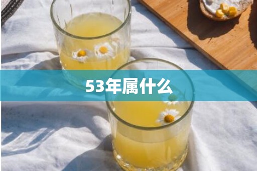 53年属什么