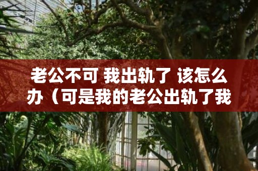 老公不可 我出轨了 该怎么办（可是我的老公出轨了我该怎么办）
