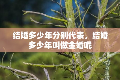 结婚多少年分别代表，结婚多少年叫做金婚呢