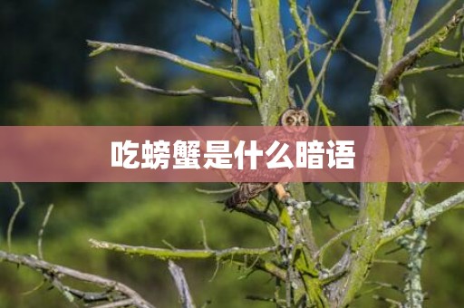 吃螃蟹是什么暗语