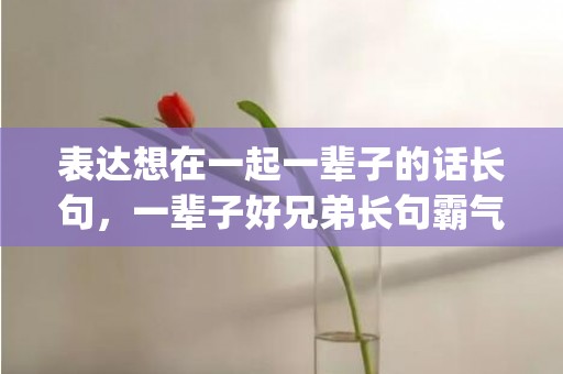表达想在一起一辈子的话长句，一辈子好兄弟长句霸气短句(好兄弟一辈子的短句)