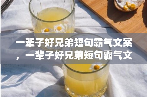 一辈子好兄弟短句霸气文案，一辈子好兄弟短句霸气文案怎么写好看(好兄弟的文案句子)
