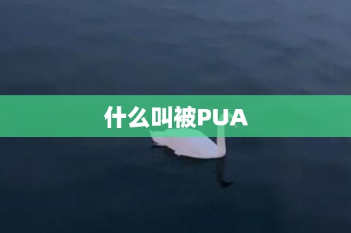 什么叫被PUA