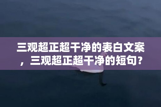 三观超正超干净的表白文案，三观超正超干净的短句？三观正的高级文案