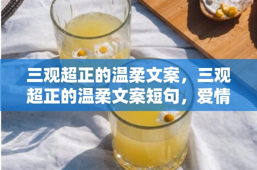 三观超正的温柔文案，三观超正的温柔文案短句，爱情三观很正的经典句子