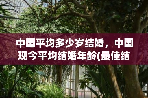 中国平均多少岁结婚，中国现今平均结婚年龄(最佳结婚年龄)