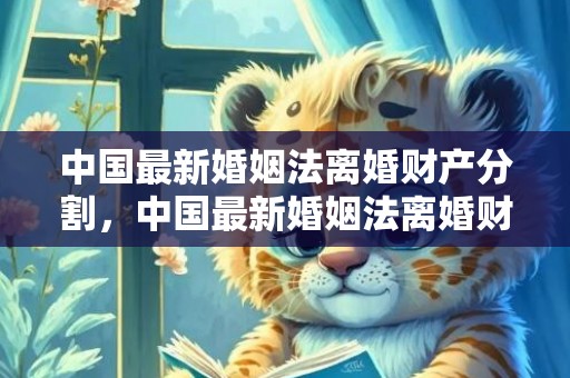 中国最新婚姻法离婚财产分割，中国最新婚姻法离婚财产怎么分配的，新婚姻法婚后财产如何分割