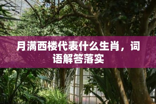 月满西楼代表什么生肖，词语解答落实