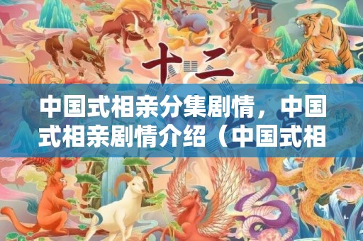 中国式相亲分集剧情，中国式相亲剧情介绍（中国式相亲价目表曝光）