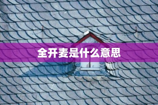全开麦是什么意思