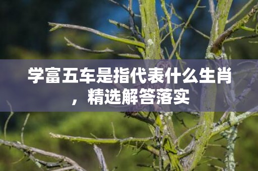 学富五车是指代表什么生肖，精选解答落实