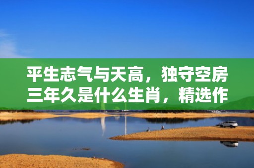 平生志气与天高，独守空房三年久是什么生肖，精选作答落实