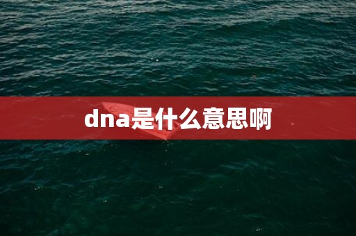 dna是什么意思啊