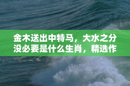 金木送出中特马，大水之分没必要是什么生肖，精选作答落实