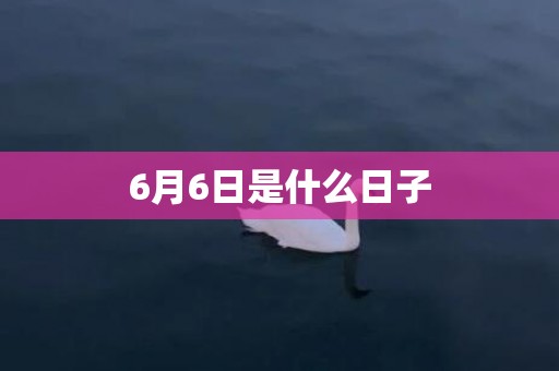 6月6日是什么日子
