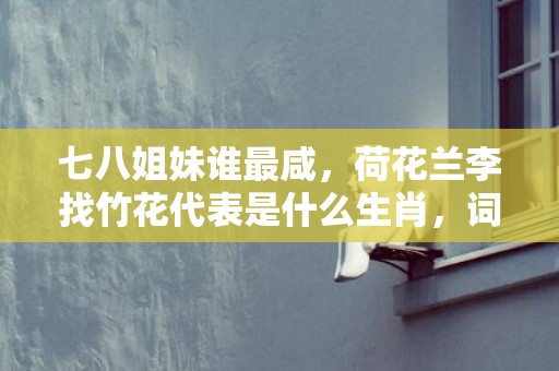 七八姐妹谁最咸，荷花兰李找竹花代表是什么生肖，词语精选落实