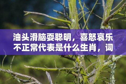油头滑脑耍聪明，喜怒哀乐不正常代表是什么生肖，词语精选落实