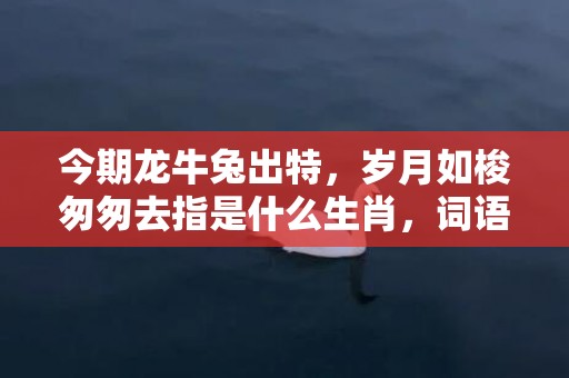 今期龙牛兔出特，岁月如梭匆匆去指是什么生肖，词语释义落实