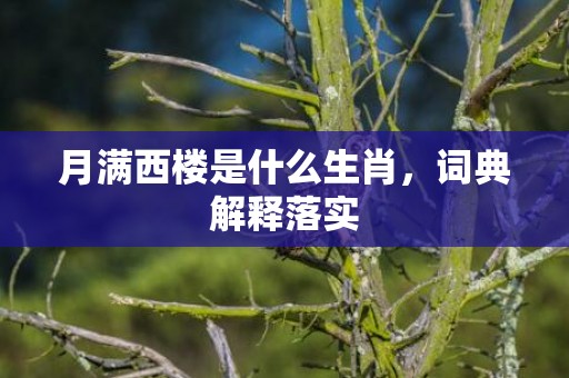 月满西楼是什么生肖，词典解释落实