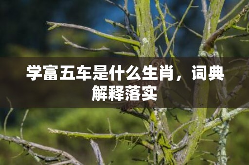 学富五车是什么生肖，词典解释落实