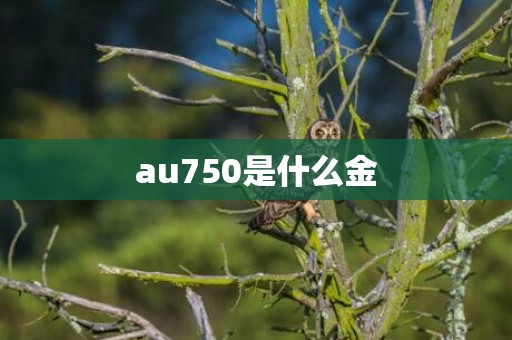 au750是什么金