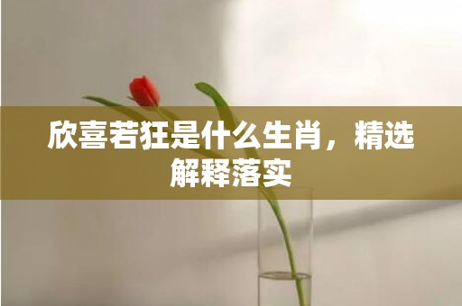 欣喜若狂是什么生肖，精选解释落实