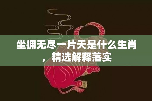 坐拥无尽一片天是什么生肖，精选解释落实