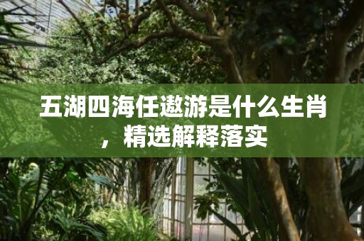 五湖四海任遨游是什么生肖，精选解释落实