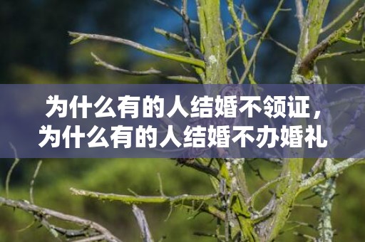 为什么有的人结婚不领证，为什么有的人结婚不办婚礼呢 有没有不想办婚礼的女人