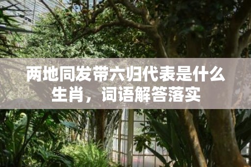 两地同发带六归代表是什么生肖，词语解答落实