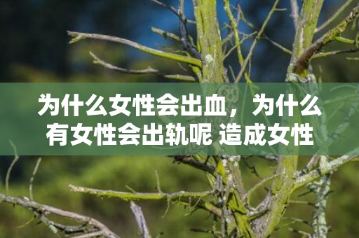 为什么女性会出血，为什么有女性会出轨呢 造成女性婚姻出轨原因有什么呢