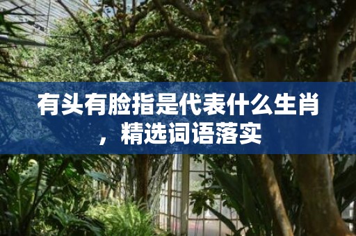 有头有脸指是代表什么生肖，精选词语落实