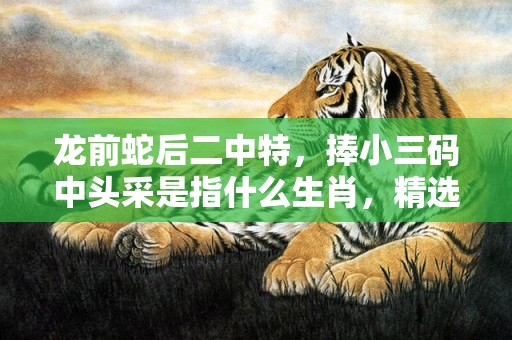 龙前蛇后二中特，捧小三码中头采是指什么生肖，精选答案落实