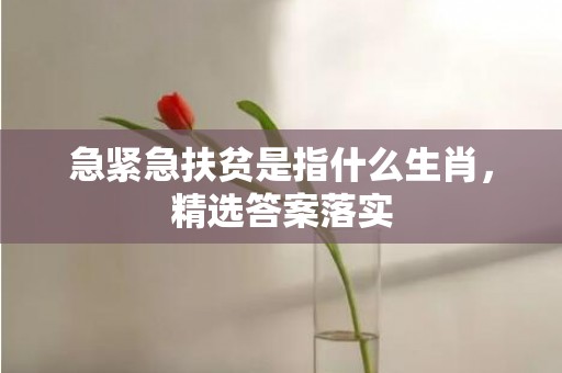 急紧急扶贫是指什么生肖，精选答案落实