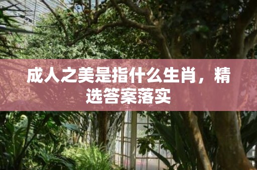 成人之美是指什么生肖，精选答案落实