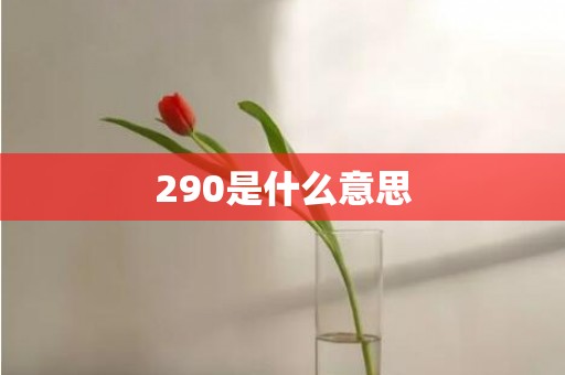 290是什么意思
