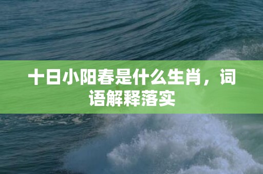十日小阳春是什么生肖，词语解释落实