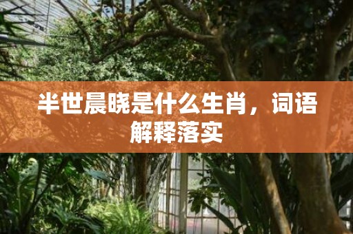 半世晨晓是什么生肖，词语解释落实