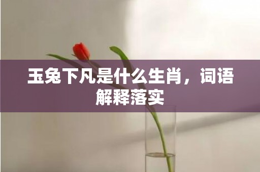 玉兔下凡是什么生肖，词语解释落实