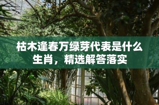 枯木逢春万绿芽代表是什么生肖，精选解答落实