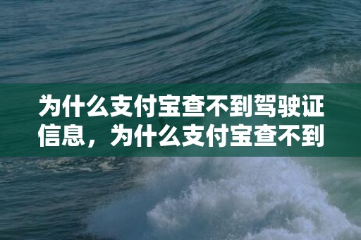 为什么支付宝查不到驾驶证信息，为什么支付宝查不到我的婚姻登记信息 支付宝可以查自己的婚姻信息吗