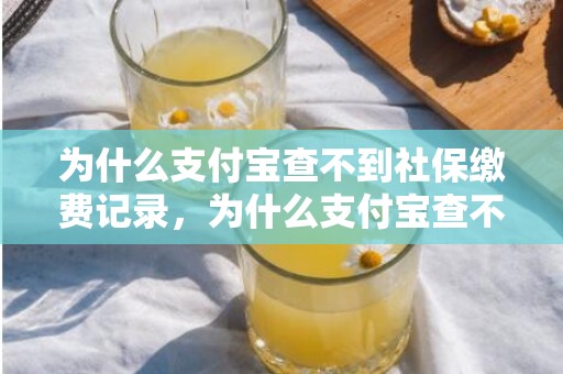 为什么支付宝查不到社保缴费记录，为什么支付宝查不了医保卡余额了？支付宝怎么查医保明细